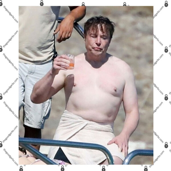 Elon Musk Without Shirt Elon Musk No Shirt 1
