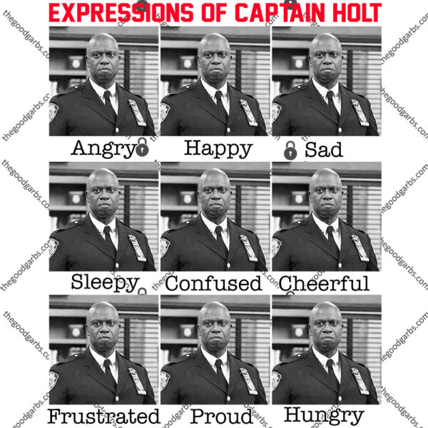 Expressions Of Captain Holt Shirt