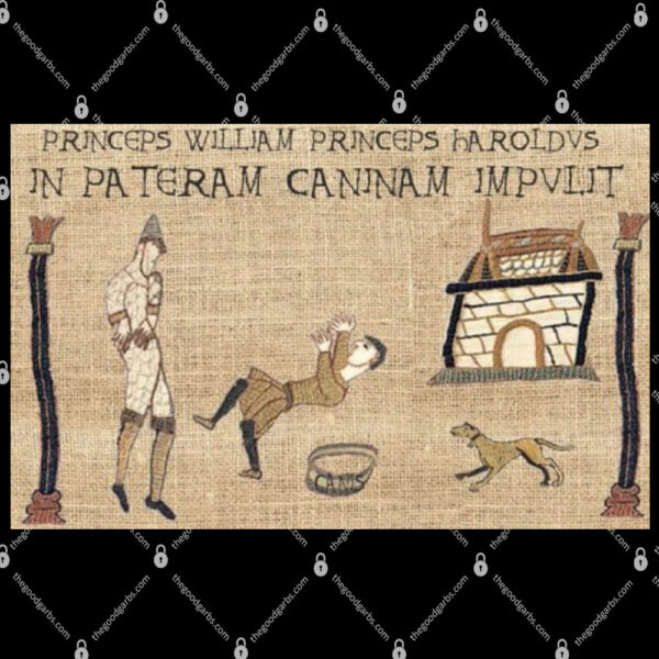 Princeps William Princeps Haroldvs In Pateram Caninam Impvlit Shirt 1