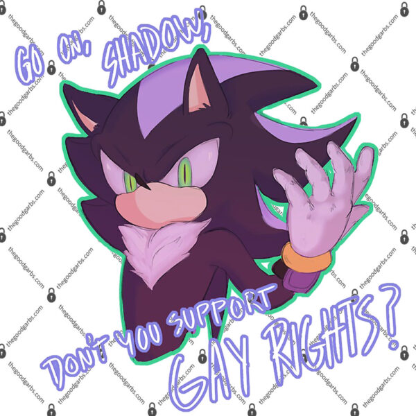 Sonic Birthday Shirt Go On Shadow Don't You Suppot Gay Rights 1