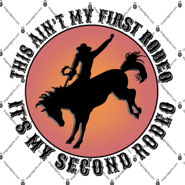 This Ain't My First Rodeo It's My Second Rodeo Shirt 1