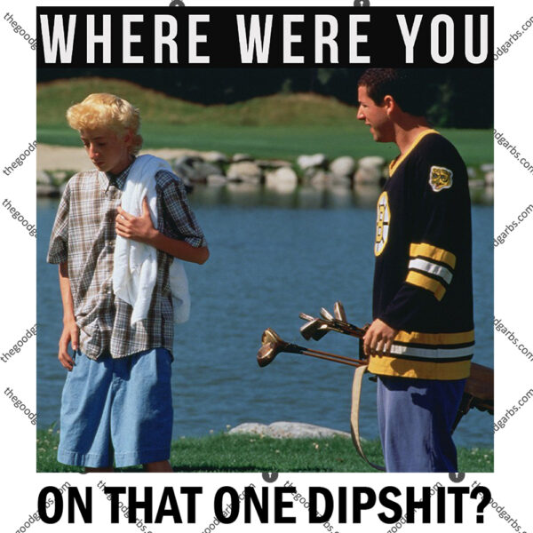 Where Were You On That One Dipshit Shirt