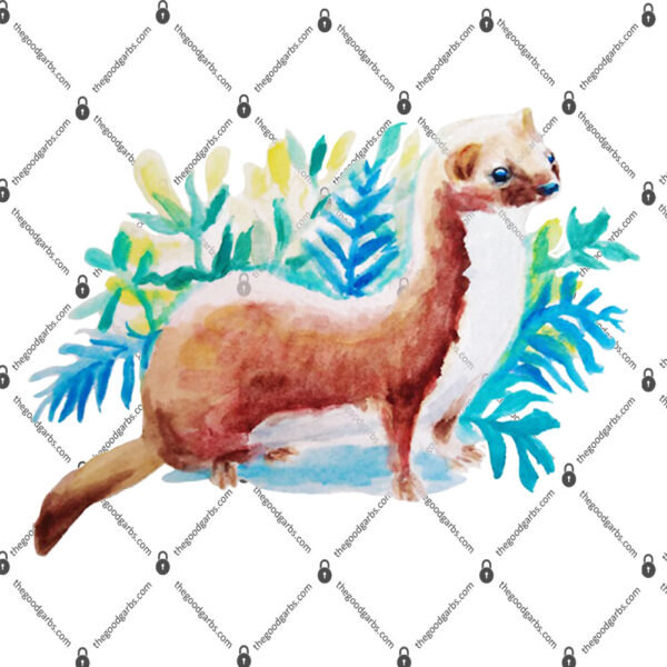 Botanical Weasel Shirt 1