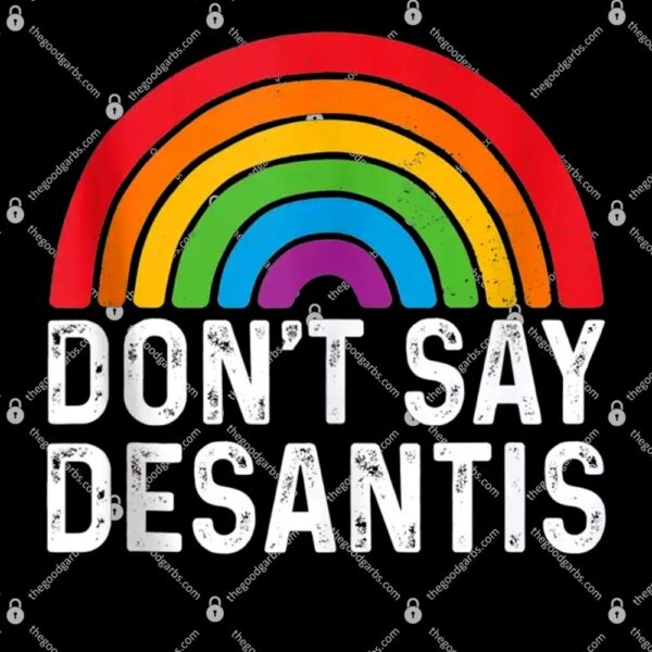 Don't Say DeSantis Rainbow Say Gay T-Shirt
