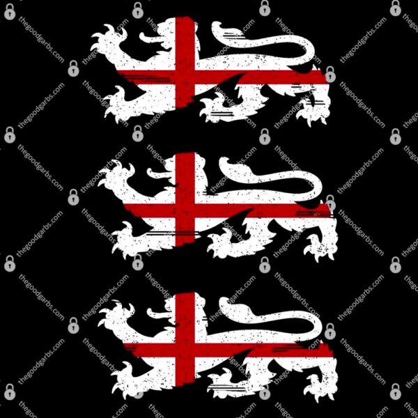 England Euro 21 English Lions Soccer Fan Flag T-Shirt