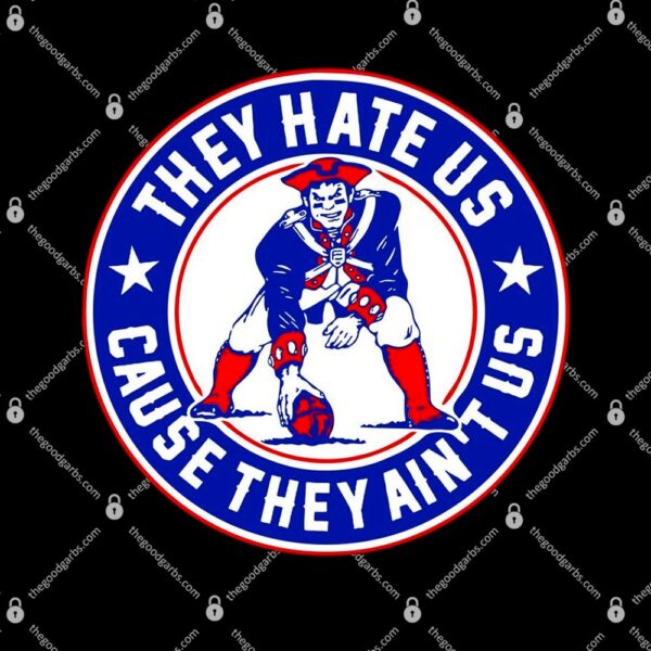 Football Champions They Hate Us Cause They Ain't US New England T-Shirt