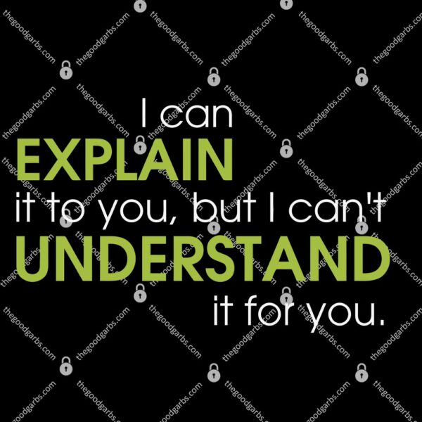 I Can Explain It To You But I Can't Understand It T-Shirt