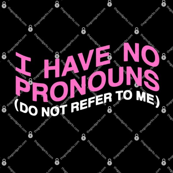 I Have No Pronouns Shirt Do Not Refer To Me T-Shirt
