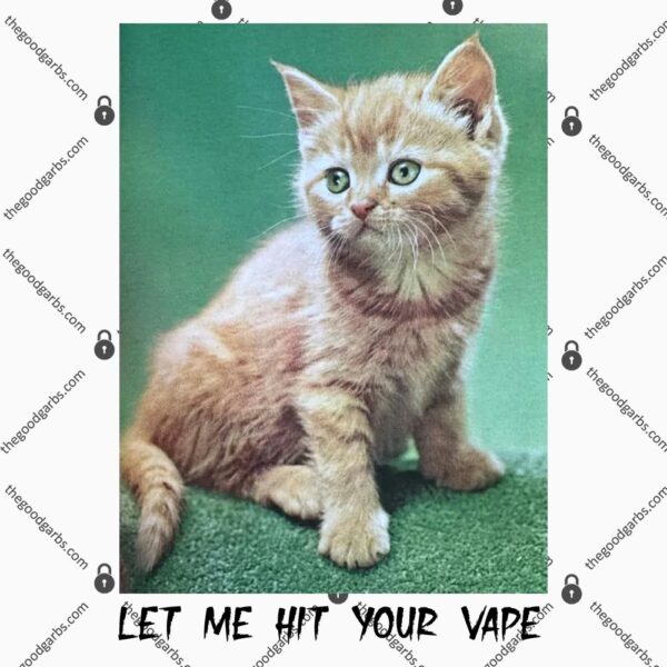 Let Me Hit Your Vape Cat T-Shirt