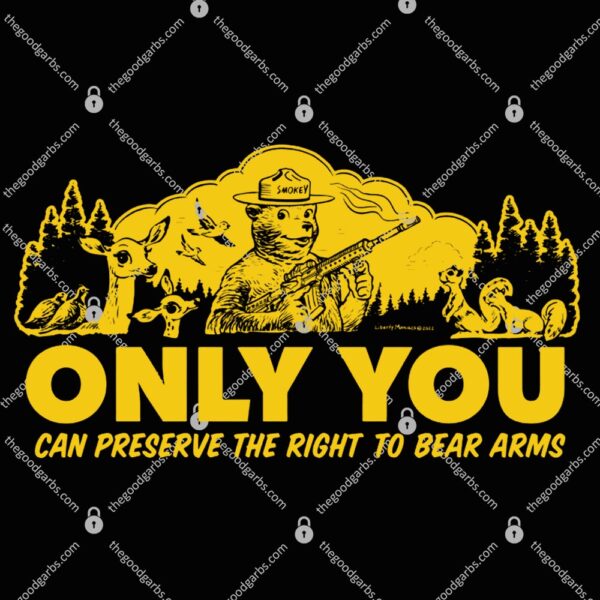 Only You Can Preserve the Right To Bear Arms Retro Smokey T-Shirt