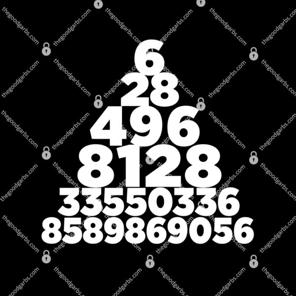 Perfect Numbers T-Shirt