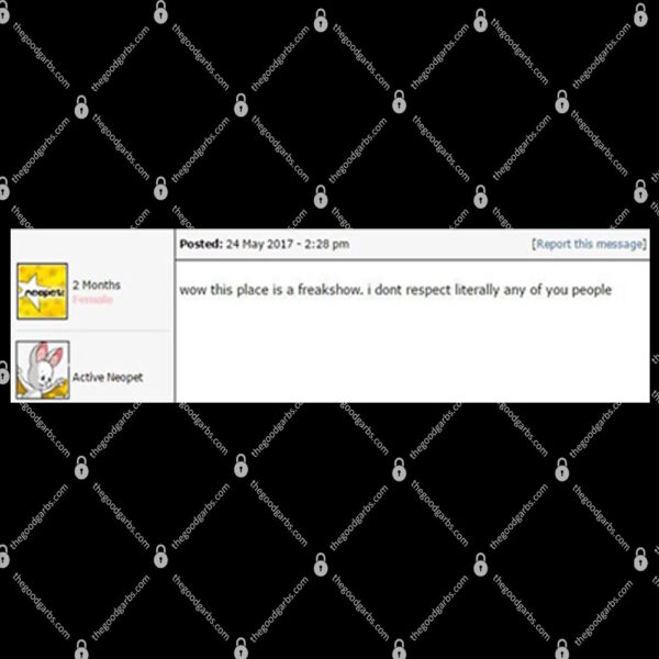 This Place Is A Freakshow I Don't Respect Literally Any Of You People Neopets Shirt 1