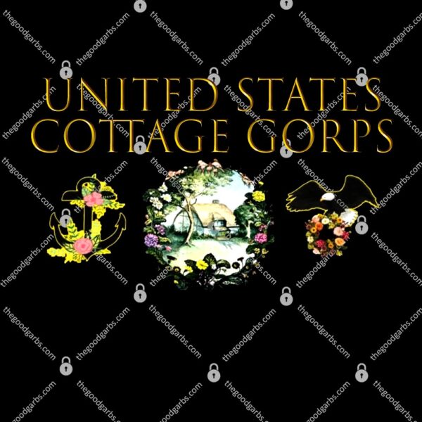 United States Cottage Corps Shirt