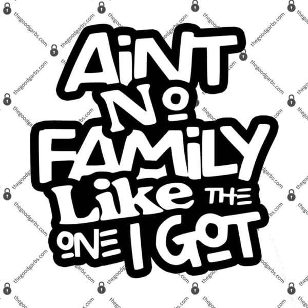 Aint No Family Like The One I Got For Family T-Shirt