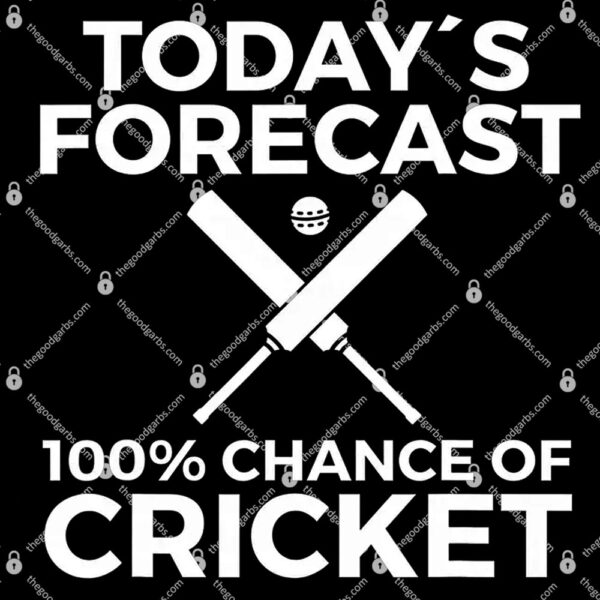 Cricket Bat Cricket Ball Indian Flag India T-Shirt