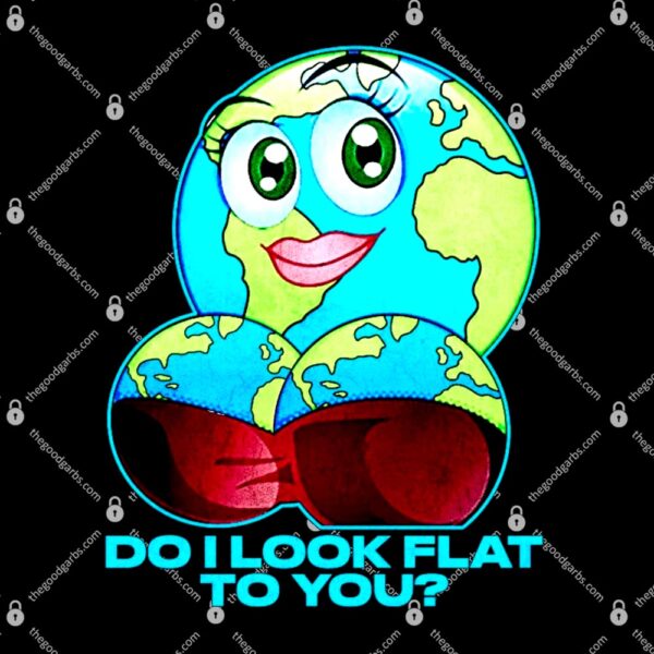 Do I Look Flat To You T-Shirt
