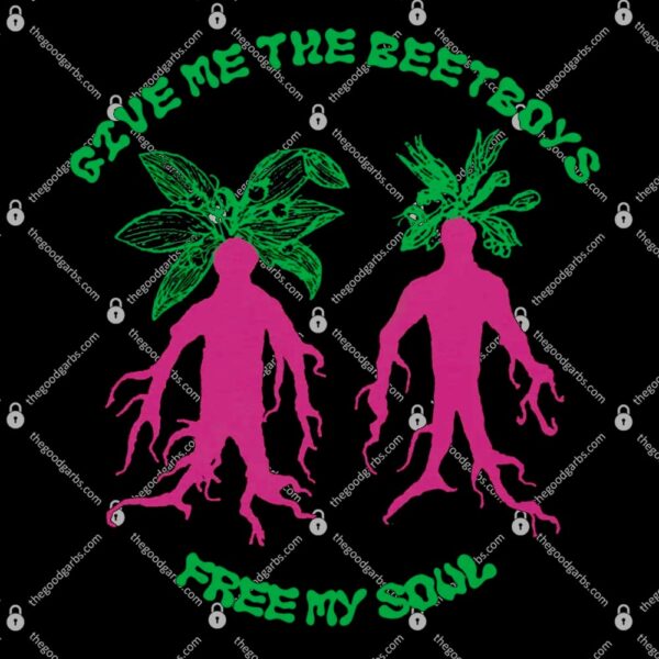 Give Me The Beetboys And Free My Soul T-Shirt
