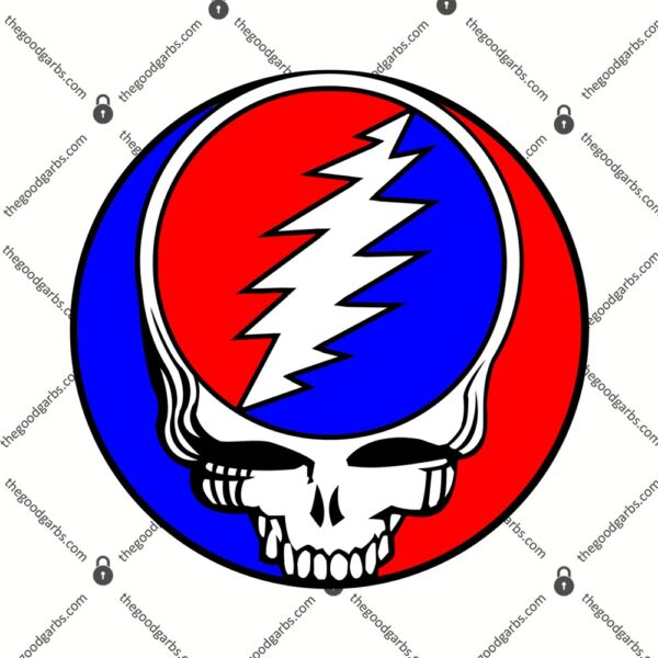 Grateful Dead Red White And Blue Steal Your Face Logo T-Shirt