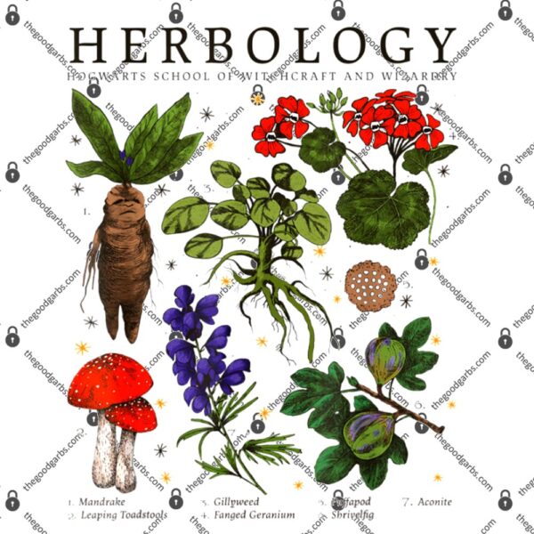 Harry Potter Hogwarts Herbology T-Shirt