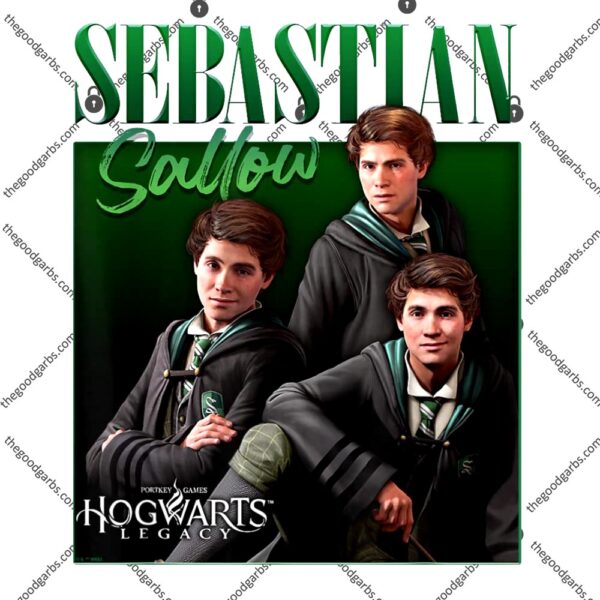 Harry Potter Hogwarts Legacy Sebastian Sallow Collage T-Shirt