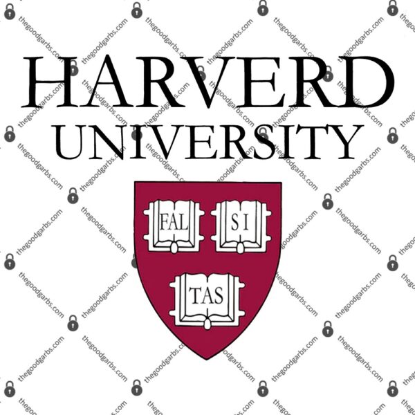Harverd University T-Shirt