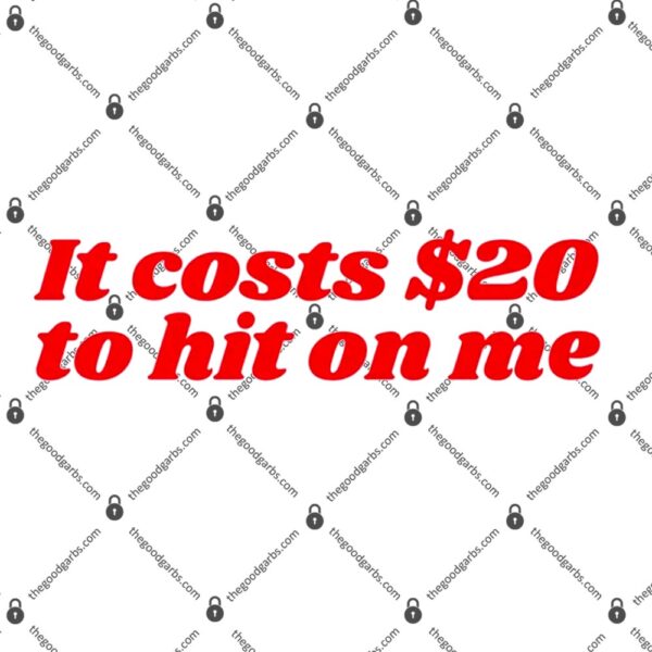 It Costs $20 to Hit on Me T-Shirt
