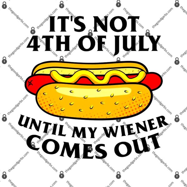 Its Not 4th Of July Until My Wiener Comes Out T-Shirt