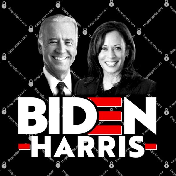 Joe Biden Kamala Harris Portraits 2024 T-Shirt