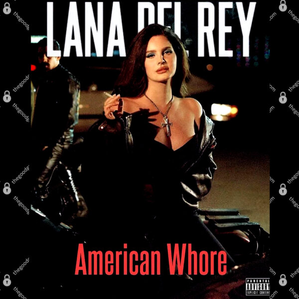 Lana Del Rey American whore T-Shirt