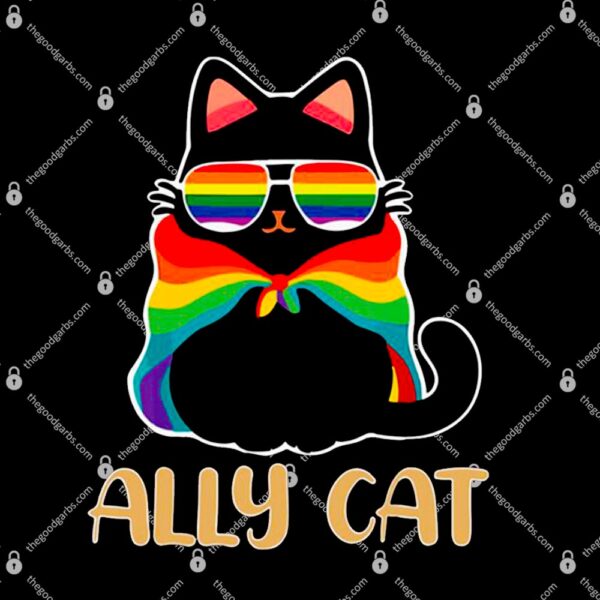 Lgbt Ally Cat Be Kind Gay T-Shirt