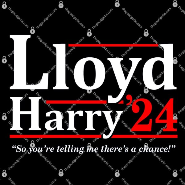 Lloyd And Harry 2024 Election T-Shirt
