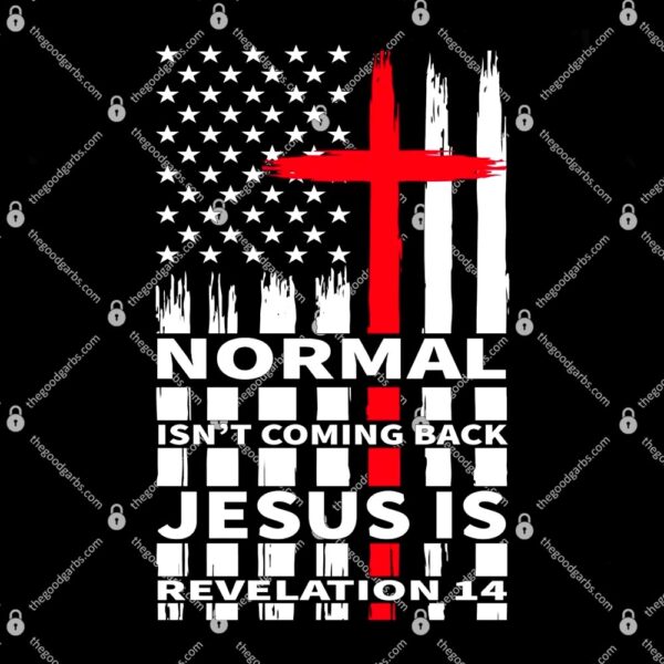Norman Isnt Coming Back Jesus Is Revelation 14 Christ Christianity T-Shirt