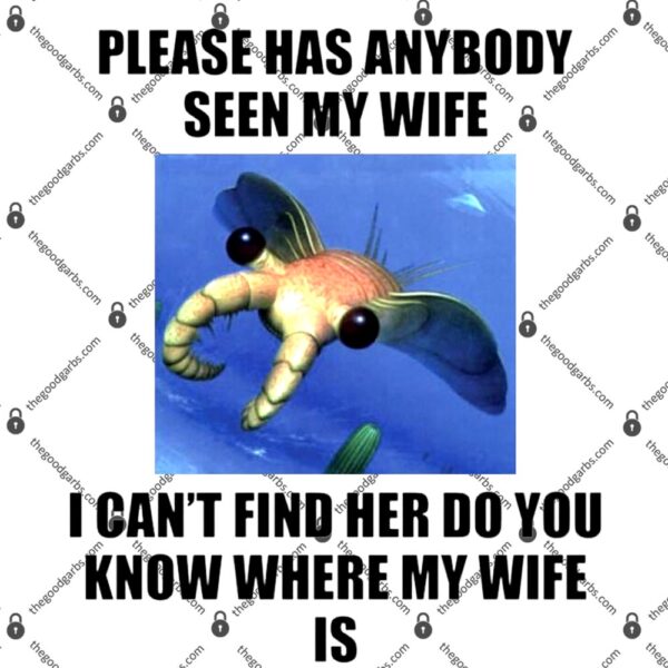 Please Has Anybody Seen My Wife I Can't Find Her Do You T-Shirt