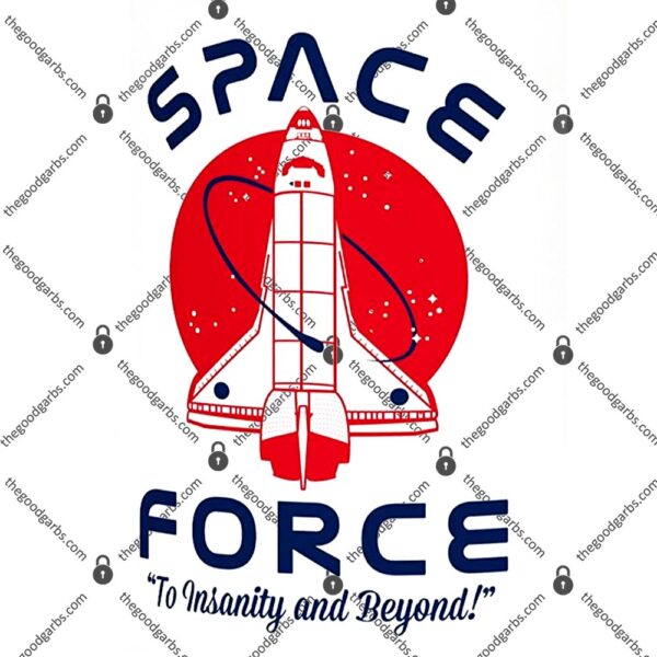 Space Force To Insanity and Beyond T-Shirt