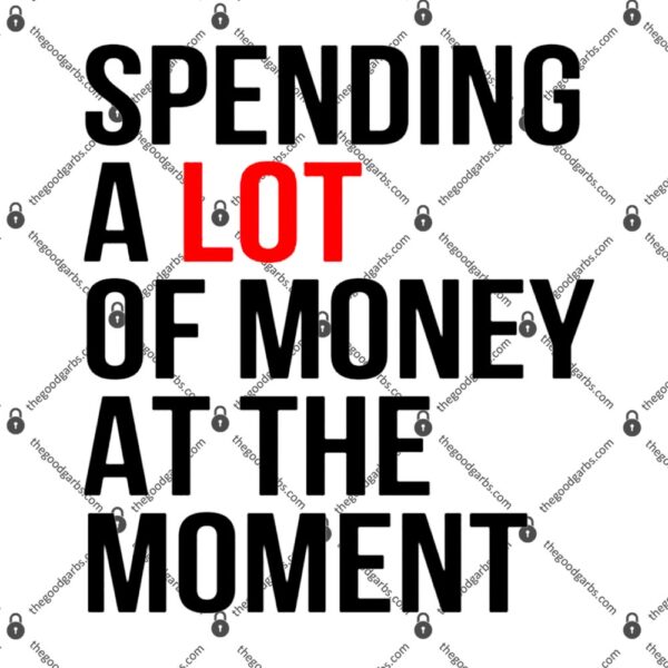 Spending A Lot Money At The Moment T-Shirt
