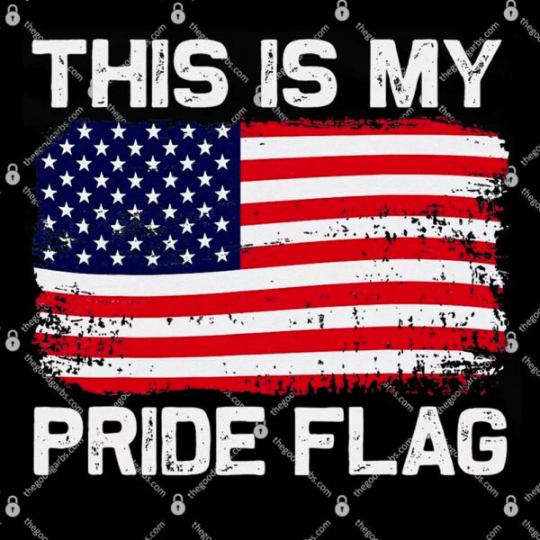 This Is My Pride Flag T-Shirt