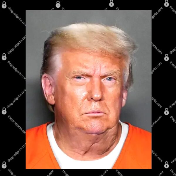 Trump Mugshot T-Shirt