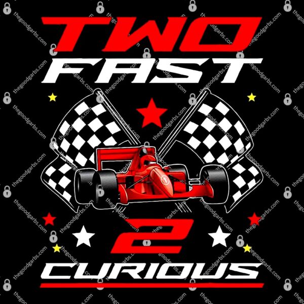 Two Fast 2 Curious Birthday Decorations 2nd Bday 2023 T-Shirt