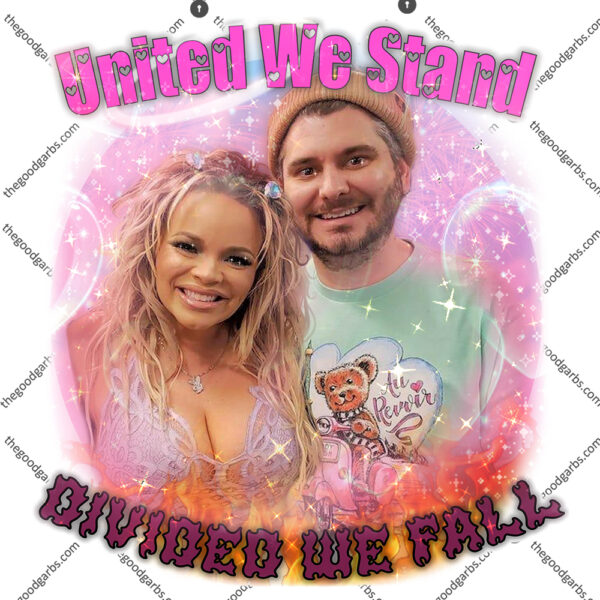 United We Stand Divided We Fall T Shirt