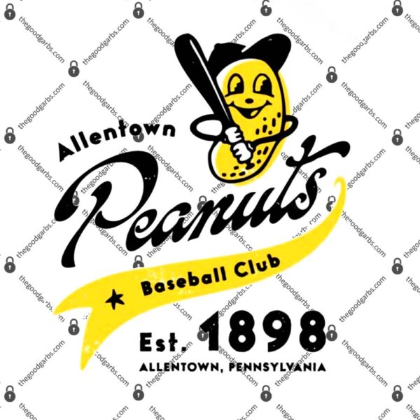 Allentown Peanuts Pennsylvania Vintage Defunct Baseball Teams T-Shirt