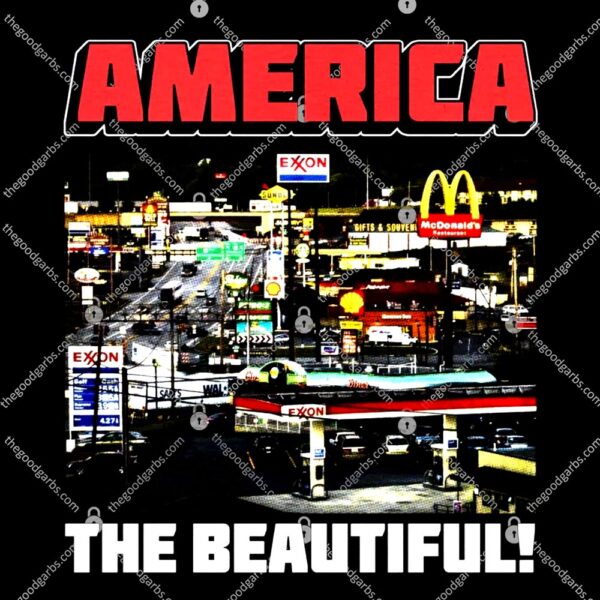 America The Beautiful T-Shirt