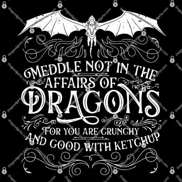 Do Not Meddle In The Affairs Of Dragons T-Shirt