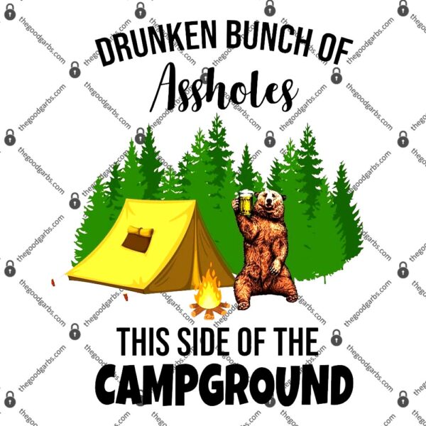 Drunken Bunch Of Assholes This Side Of The Campground T-Shirt