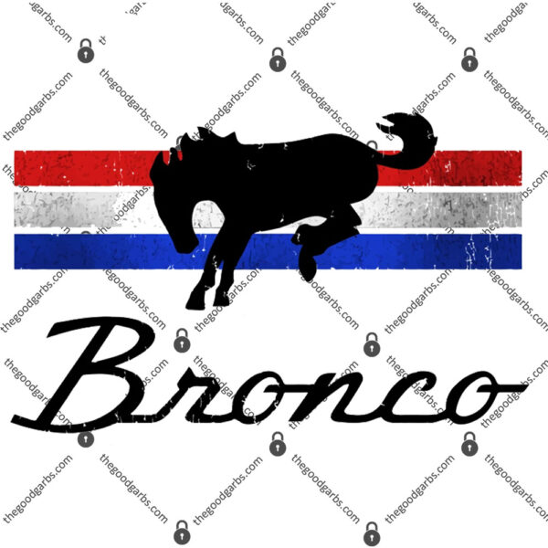 Ford Bronco Striped Distressed Logo T-Shirt