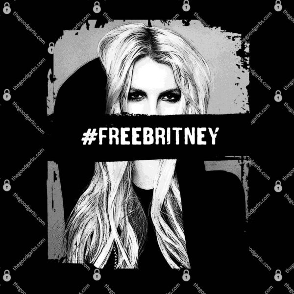 Free Britney Grey Style T-Shirt