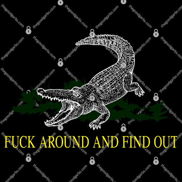 Fuck Around And Find Out T-Shirt