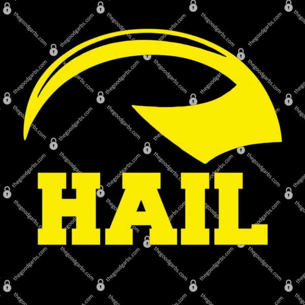 Hail Michigan Helmet Football Victors T-Shirt