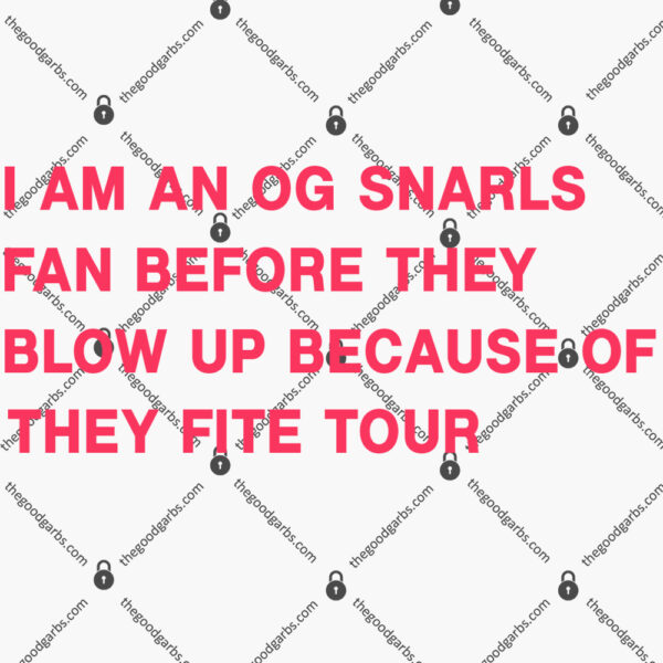 I Am An Og Snarls Fan Before They Blow Up Because Of They Fite Tour T-Shirt