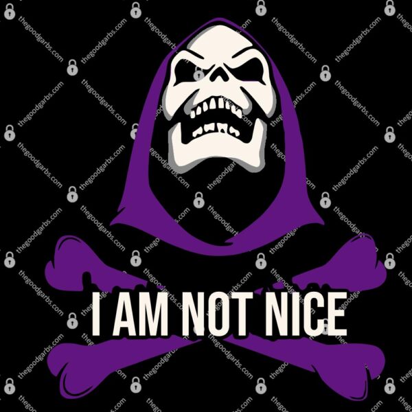 I Am Not Nice T-Shirt