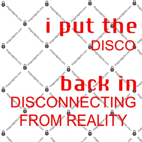 I Put The Disco Back In Disconnecting From Reality T-Shirt